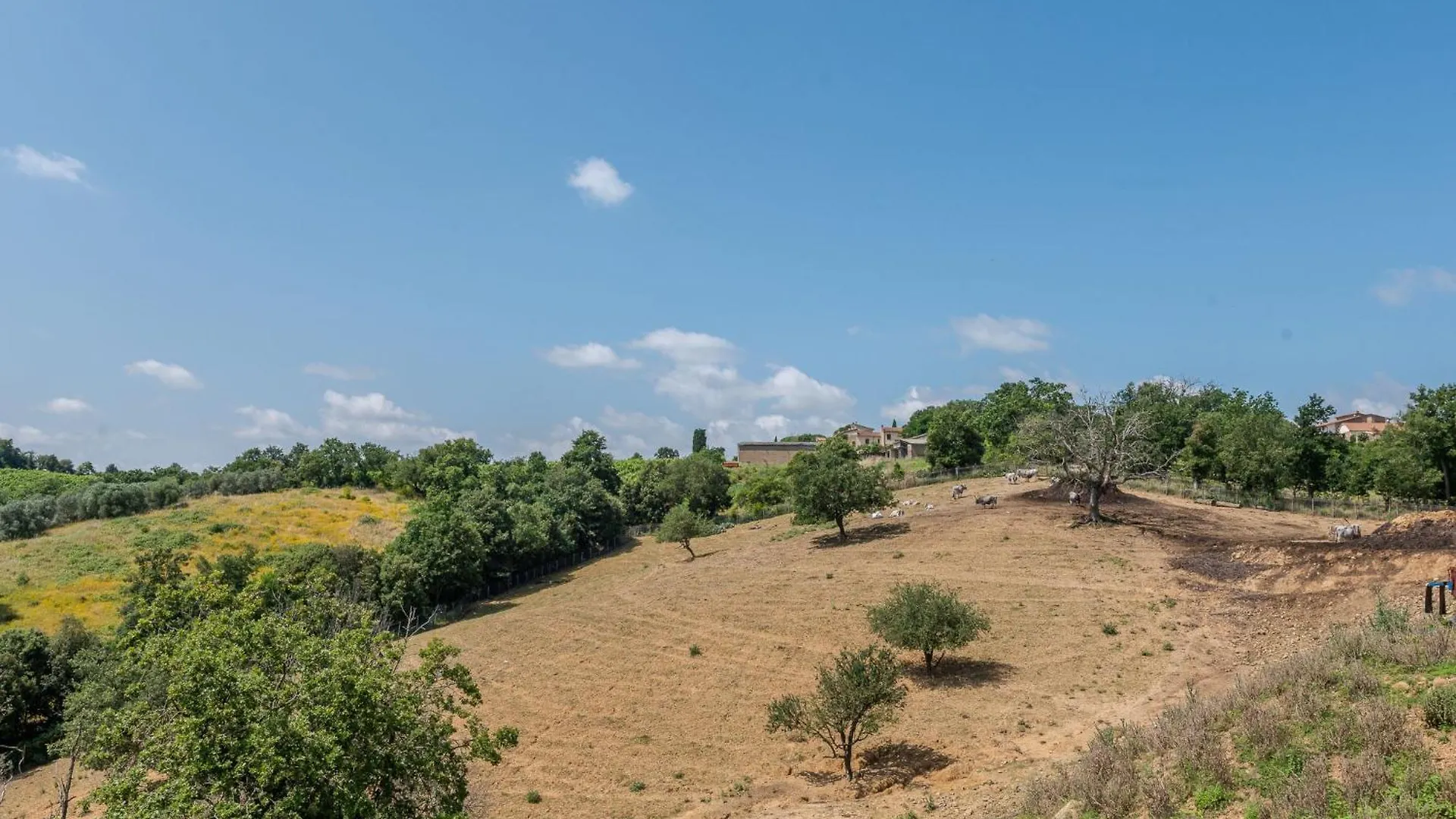 Holiday Home Olinto By Interhome Cinigiano Italy